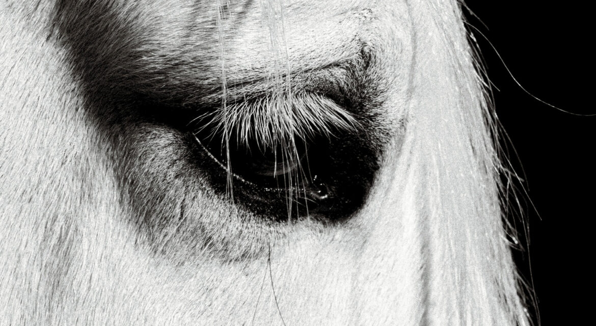 Le photographe Tarek Mawad pour Vogue Arabia